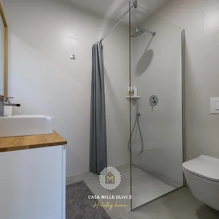 Casa Mille Olivi 2 Villa Buzet