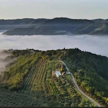 Willa Casa Mille Olivi 2