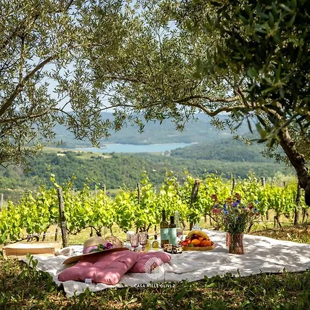 With Private Pool & View Near Motovun, Casa Mille Olivi Modern Vila