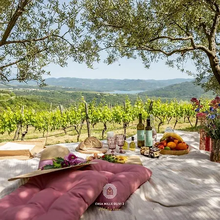 With Private Pool & View Near Motovun, Casa Mille Olivi Modern * ブゼト