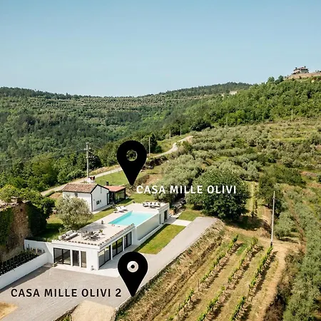 Casa Mille Olivi 2