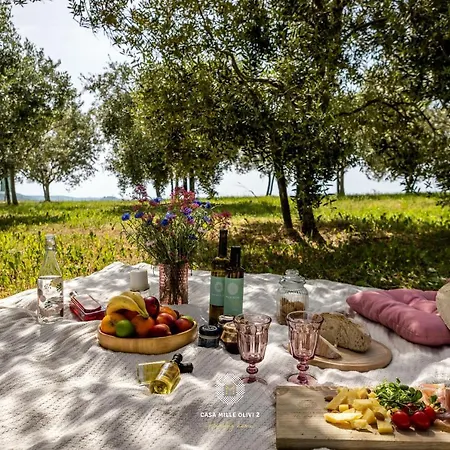 Villa Casa Mille Olivi 2 Buzet