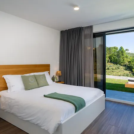 Vila With Private Pool & View Near Motovun, Casa Mille Olivi Modern Buzet