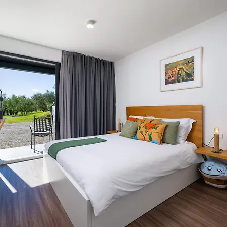 With Private Pool & View Near Motovun, Casa Mille Olivi Modern Vila *