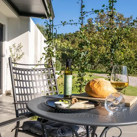 ヴィラ With Private Pool & View Near Motovun, Casa Mille Olivi Modern