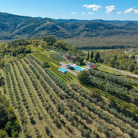 Vila With Private Pool & View Near Motovun, Casa Mille Olivi Modern Buzet