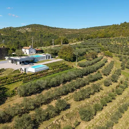 Villa With Private Pool & Lake View Near Motovun, Casa Mille Olivi Modern Villa