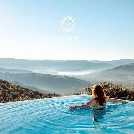 Vila With Private Pool & View Near Motovun, Casa Mille Olivi Modern Buzet