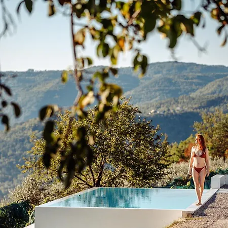 With Private Pool & View Near Motovun, Casa Mille Olivi Modern *