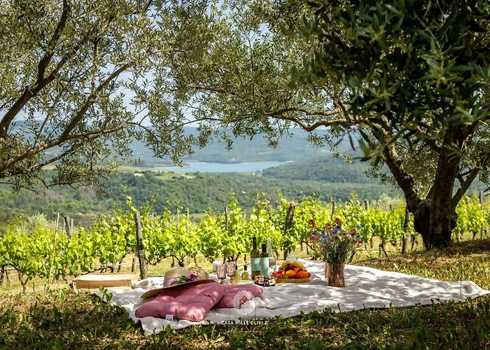 Casa Mille Olivi 2 - House With Private Pool & View Near Motovun Villa