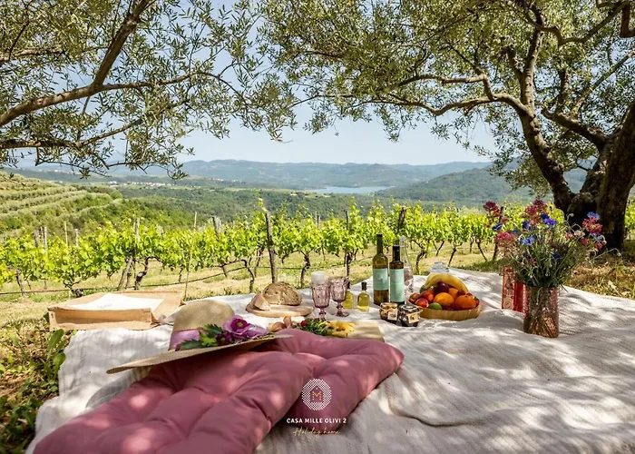 Casa Mille Olivi 2 - House With Private Pool & View Near Motovun * Buzet