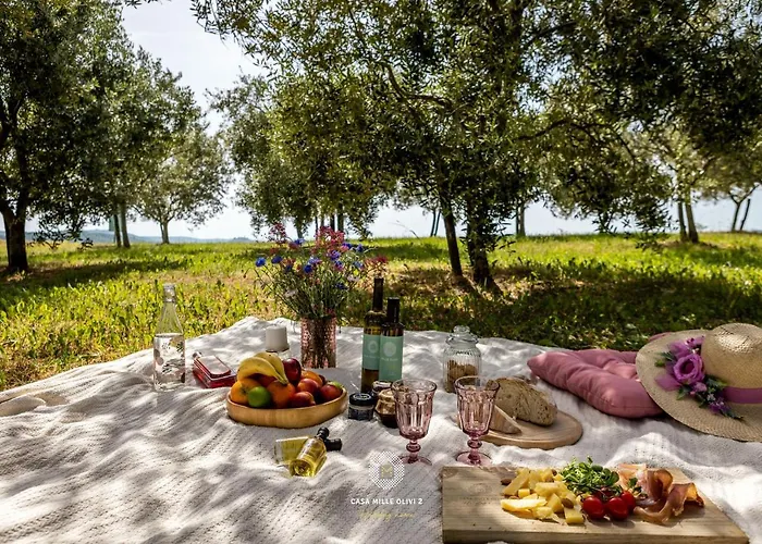 Villa Casa Mille Olivi 2 - House With Private Pool & View Near Motovun Buzet