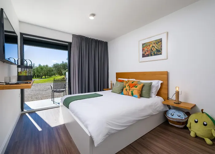 Casa Mille Olivi 2 - House With Private Pool & View Near Motovun Villa *