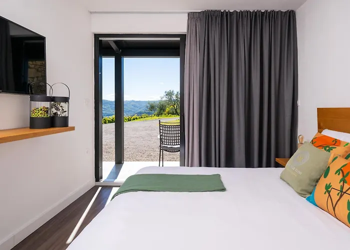 Casa Mille Olivi 2 - House With Private Pool & View Near Motovun Villa *