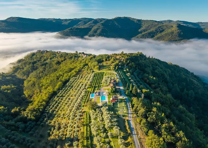 Villa Casa Mille Olivi 2 - House With Private Pool & View Near Motovun Buzet