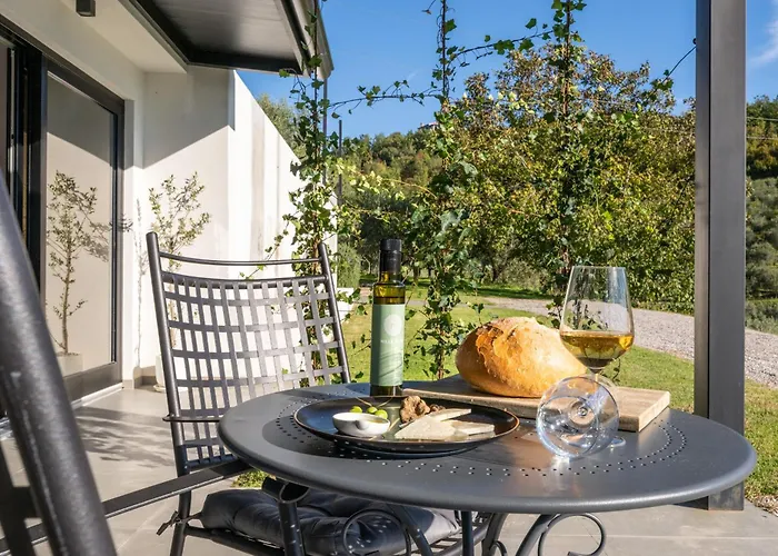 Villa Casa Mille Olivi 2 - House With Private Pool & View Near Motovun