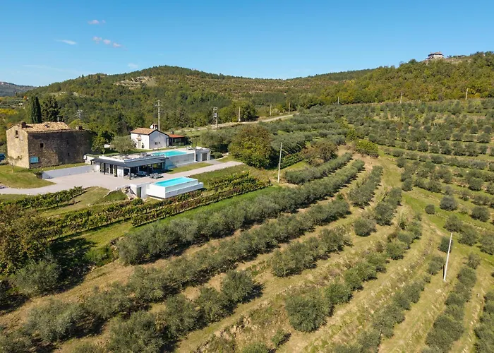 Casa Mille Olivi 2 - House With Private Pool & View Near Motovun Villa